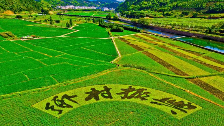 政策解讀｜《中共中央 國務院關(guān)于做好2023年全面推進鄉(xiāng)村振興重點工作的意見》